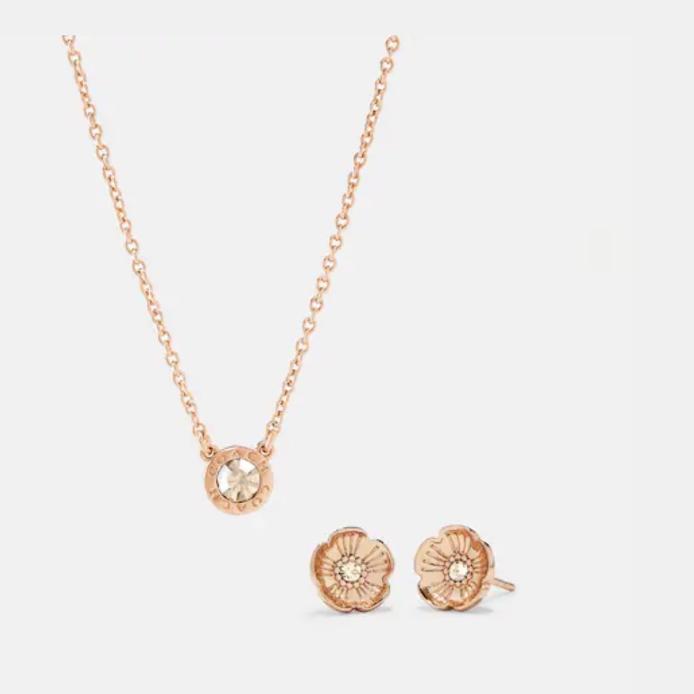 Coach earring and necklace set